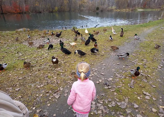 شقة Nagelehof 2 *