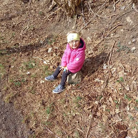 Nagelehof 2 公寓 *